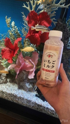 写メ