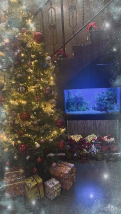 写メ